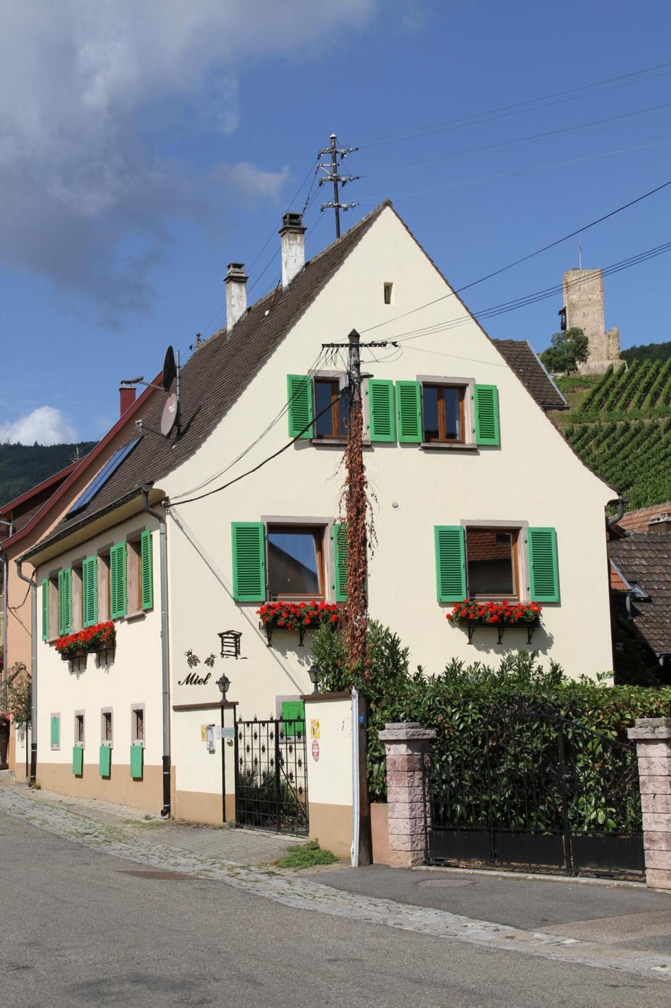 Les Gites 2-4 Pers Remy Herold Katzenthal Eksteriør bilde